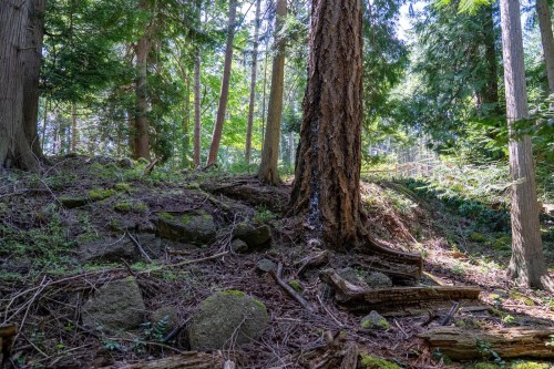 4849 Pirates Rd, Pender Island, BC 