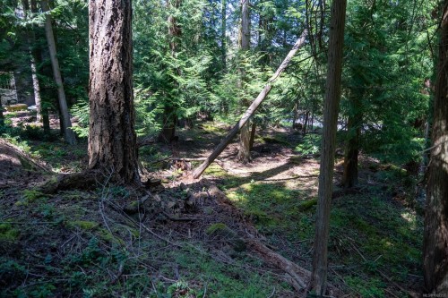 4849 Pirates Rd, Pender Island, BC 