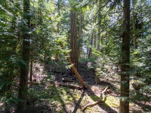 4849 Pirates Rd, Pender Island, BC 