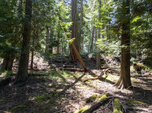 4849 Pirates Rd, Pender Island, BC 