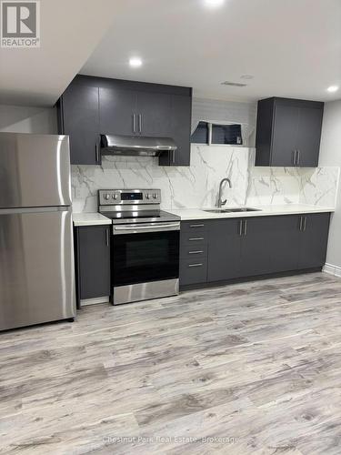 kitchen inlaw suite - 245 Wild Rose Drive, Gravenhurst (Muskoka (S)), ON - Indoor Photo Showing Kitchen With Stainless Steel Kitchen With Upgraded Kitchen