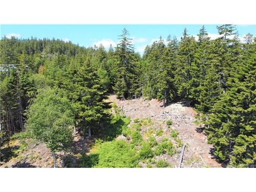 Lot 7 Kilmarnock Head, Chamcook, NB 