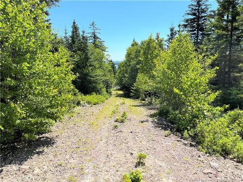 Lot 7 Kilmarnock Head, Chamcook, NB 