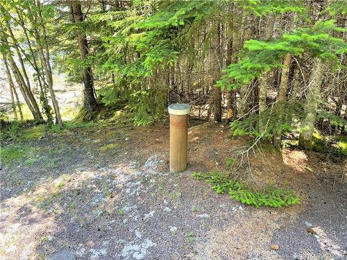 Lot 7 Kilmarnock Head, Chamcook, NB 