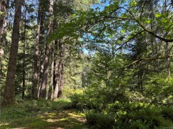 5596 Munn Rd  Highlands, BC V9E 1G7