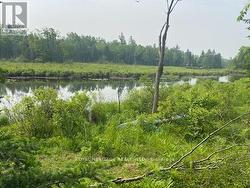 17556 HIGHWAY 62  Madoc, ON K0K 2K0