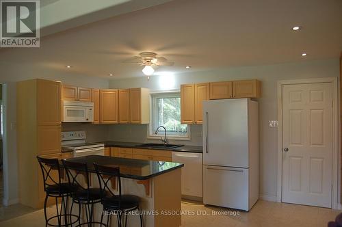 211 Alpine Lake Road, Trent Lakes, ON - Indoor Photo Showing Kitchen