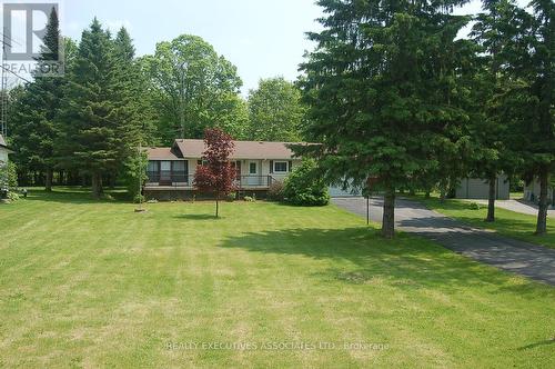 211 Alpine Lake Road, Trent Lakes, ON - Outdoor