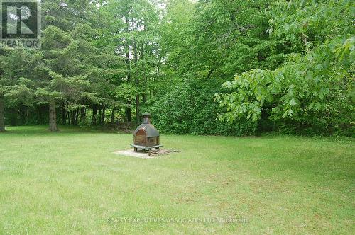 211 Alpine Lake Road, Trent Lakes, ON - Outdoor