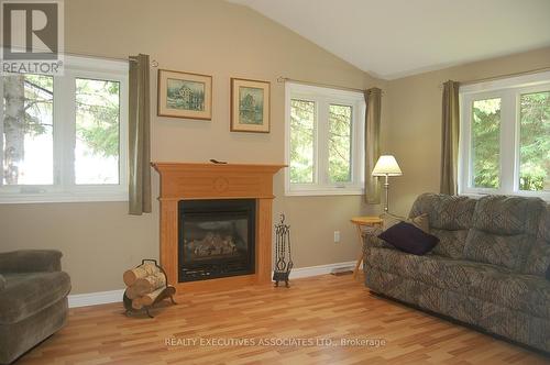 211 Alpine Lake Road, Trent Lakes, ON - Indoor Photo Showing Living Room With Fireplace