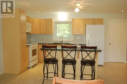 211 Alpine Lake Road, Trent Lakes, ON - Indoor Photo Showing Kitchen
