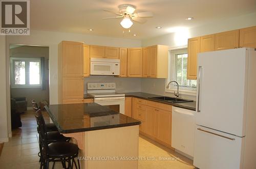 211 Alpine Lake Road, Trent Lakes, ON - Indoor Photo Showing Kitchen With Double Sink