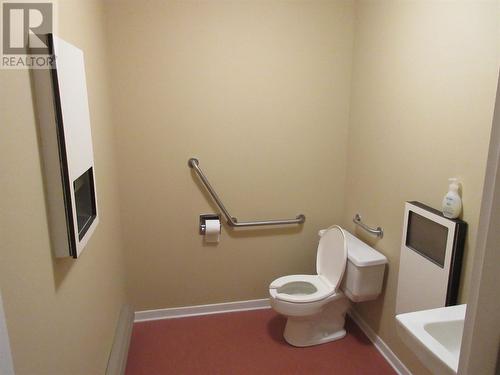 2-6 Powerhouse Road, Bishop'S Falls, NL - Indoor Photo Showing Bathroom