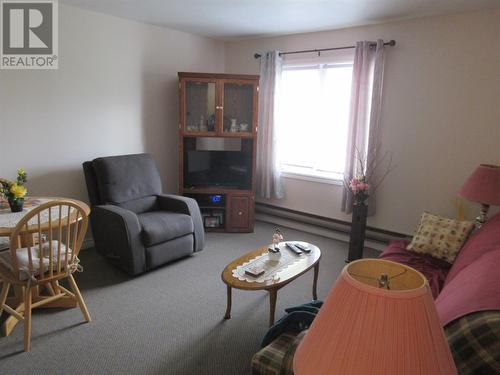 2-6 Powerhouse Road, Bishop'S Falls, NL - Indoor Photo Showing Living Room