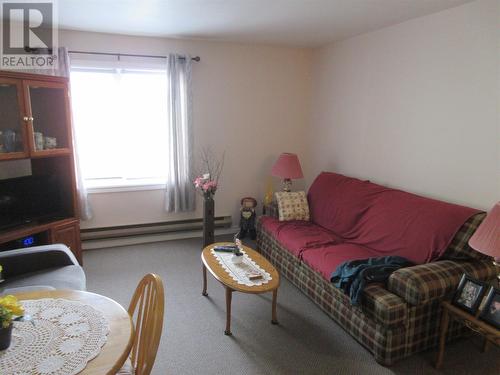 2-6 Powerhouse Road, Bishop'S Falls, NL - Indoor Photo Showing Living Room