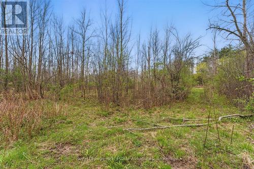 10475A Winston Churchill Boulevard, Brampton, ON 