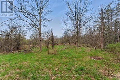 10475A Winston Churchill Boulevard, Brampton, ON 