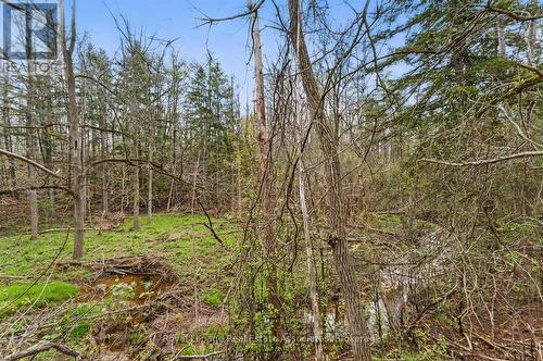 10475A Winston Churchill Boulevard, Brampton, ON 