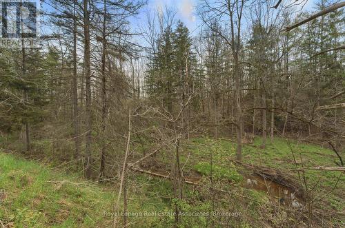 10475A Winston Churchill Boulevard, Brampton, ON 