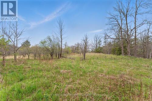 10475A Winston Churchill Boulevard, Brampton, ON 