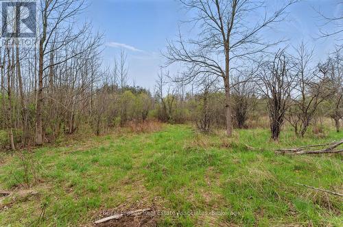 10475A Winston Churchill Boulevard, Brampton, ON 