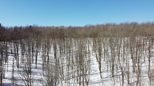 Érablière - 150 Rue Lachance, Saint-Ludger, QC 