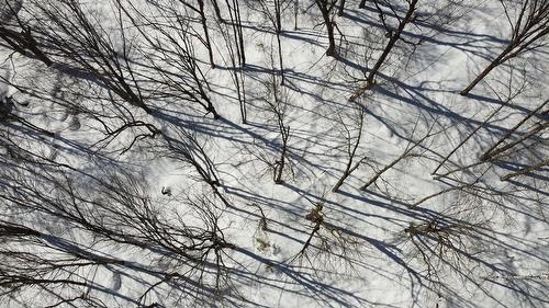 Érablière - 150 Rue Lachance, Saint-Ludger, QC 