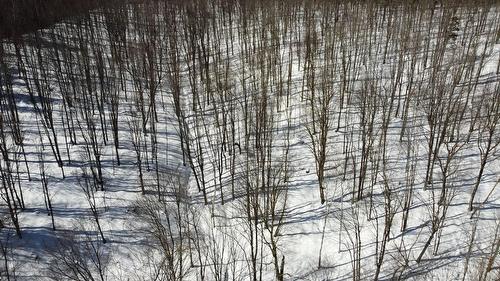 Érablière - 150 Rue Lachance, Saint-Ludger, QC 