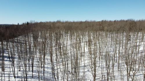 Érablière - 150 Rue Lachance, Saint-Ludger, QC 