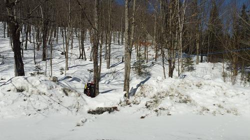 Érablière - 150 Rue Lachance, Saint-Ludger, QC 