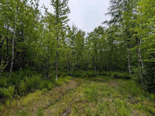 Cm2J Lot Cm2J Mckenzie Lane, Mount Uniacke, NS 