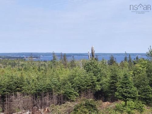 Lot No 3 Highway, Queensland, NS 