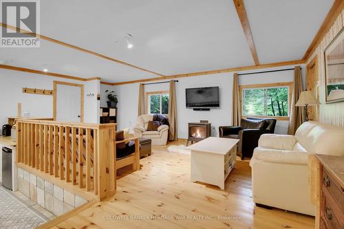828 Ashby Road, Lanark Highlands, ON - Indoor Photo Showing Living Room
