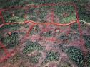 11Cape Sutil Holberg (Off) Hwy, Port Hardy, BC 
