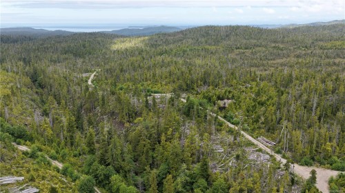 9 Cape Sutil Holberg (Off) Hwy, Port Hardy, BC 