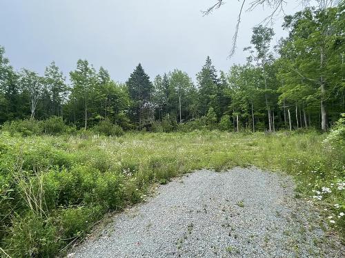 4398 Highway 1, Weymouth, NS 