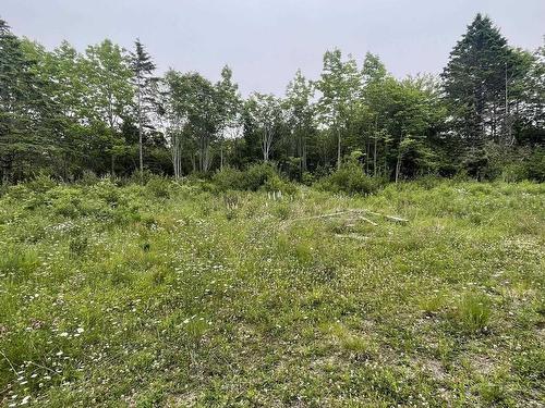 4398 Highway 1, Weymouth, NS 