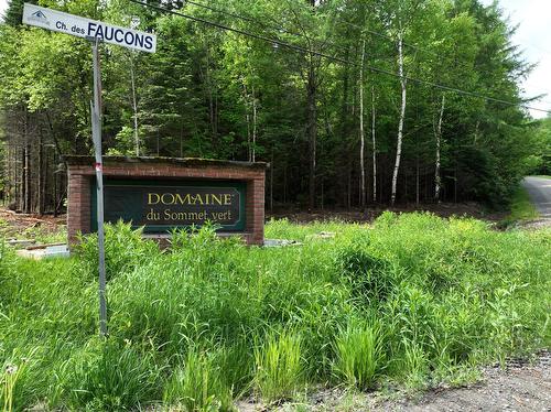 Rue - Ch. Des Faucons, Mont-Blanc, QC 