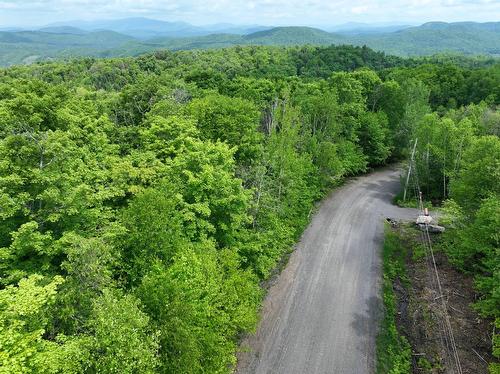 Rue - Ch. Des Faucons, Mont-Blanc, QC 