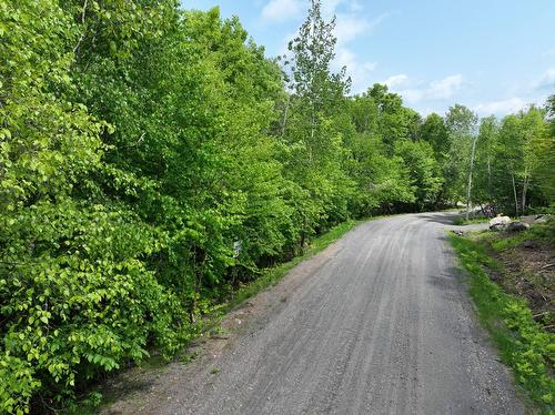 Rue - Ch. Des Faucons, Mont-Blanc, QC 