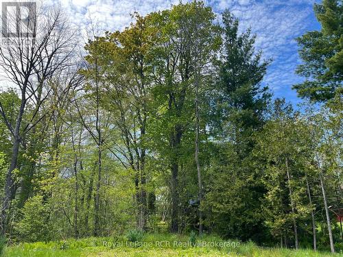 48 Gordon Crescent, Meaford, ON 