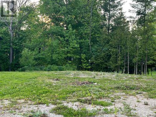 west facing view - 48 Gordon Crescent, Meaford, ON 