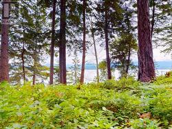 1508 SAVARY ISLAND ROAD  Savary Island, BC None