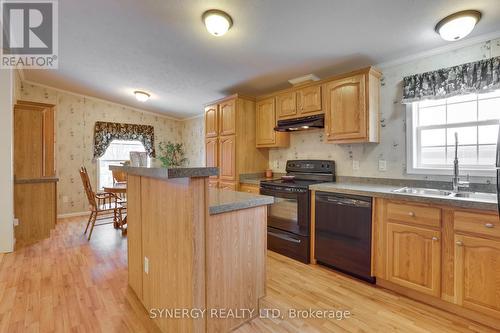 461 Richard Crescent, Strathroy-Caradoc (Se), ON - Indoor Photo Showing Kitchen With Double Sink