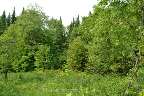 1527 Madill Road, Highlands East, ON 