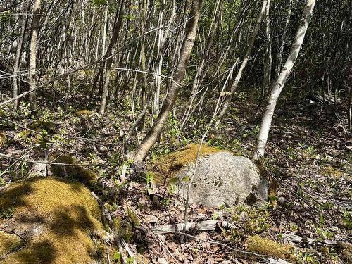 Lot 2A Highway 329, Deep Cove, NS 