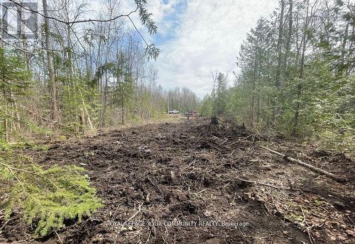 831 Centennial Park, Kawartha Lakes, ON 