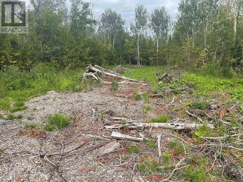 831 Centennial Park, Kawartha Lakes, ON 