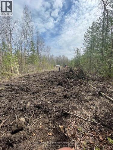 831 Centennial Park, Kawartha Lakes, ON 