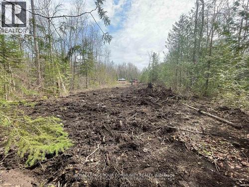 831 Centennial Park, Kawartha Lakes, ON 